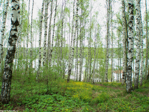 29409 (a): :1024x768